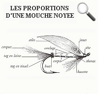 https://sites.google.com/a/chti-moucheur.com/chtimoucheur/atelier-montage/noy%C3%A9e2.jpg?attredirects=0